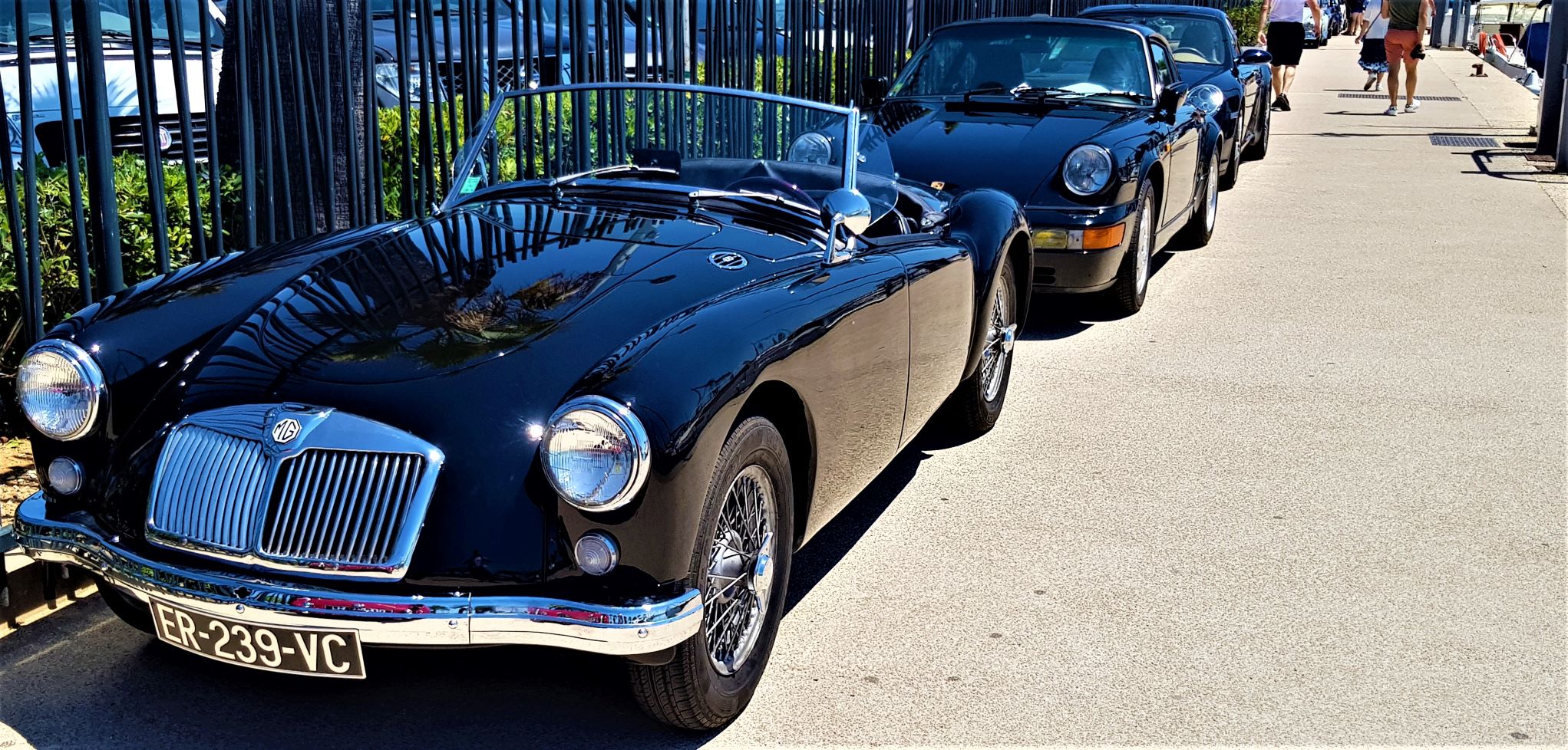 MGA